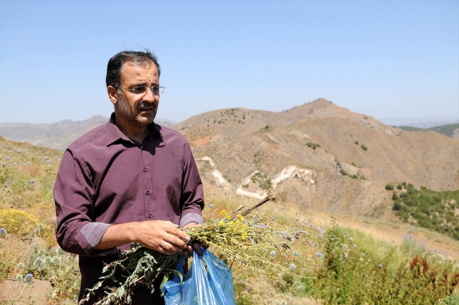 Bitki florasının envanteri ve arıcılık için kırsalda örnek topluyorlar